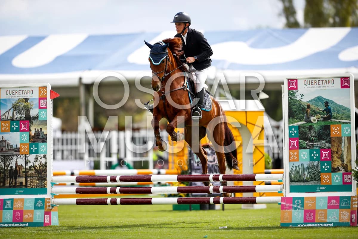 BRANDON HERNANDEZ