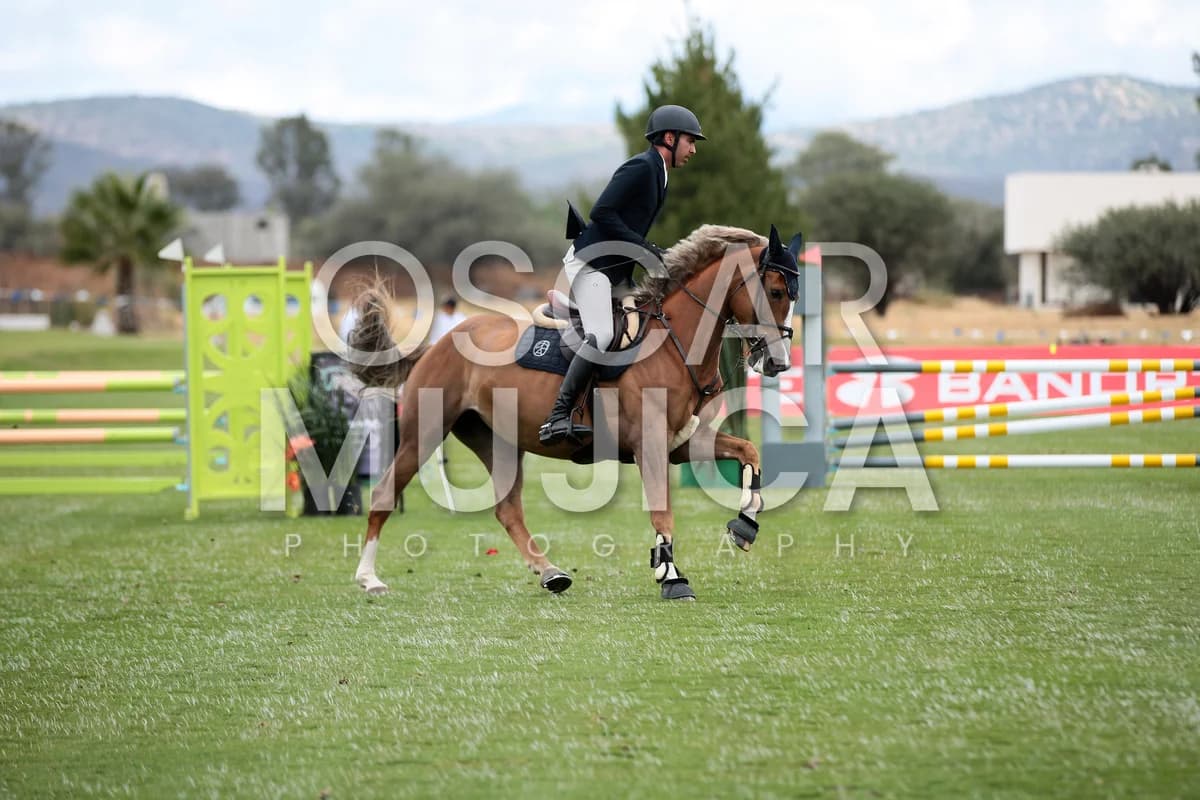 DIEGO POTES