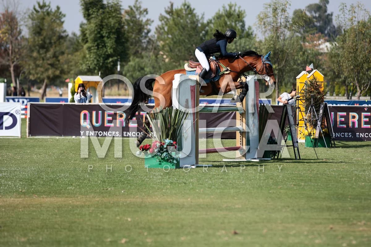 GALA JUAREZ