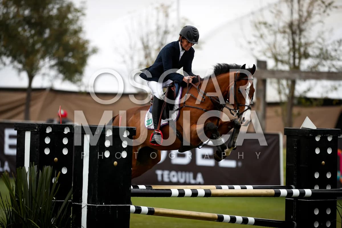 JORGE MAURER