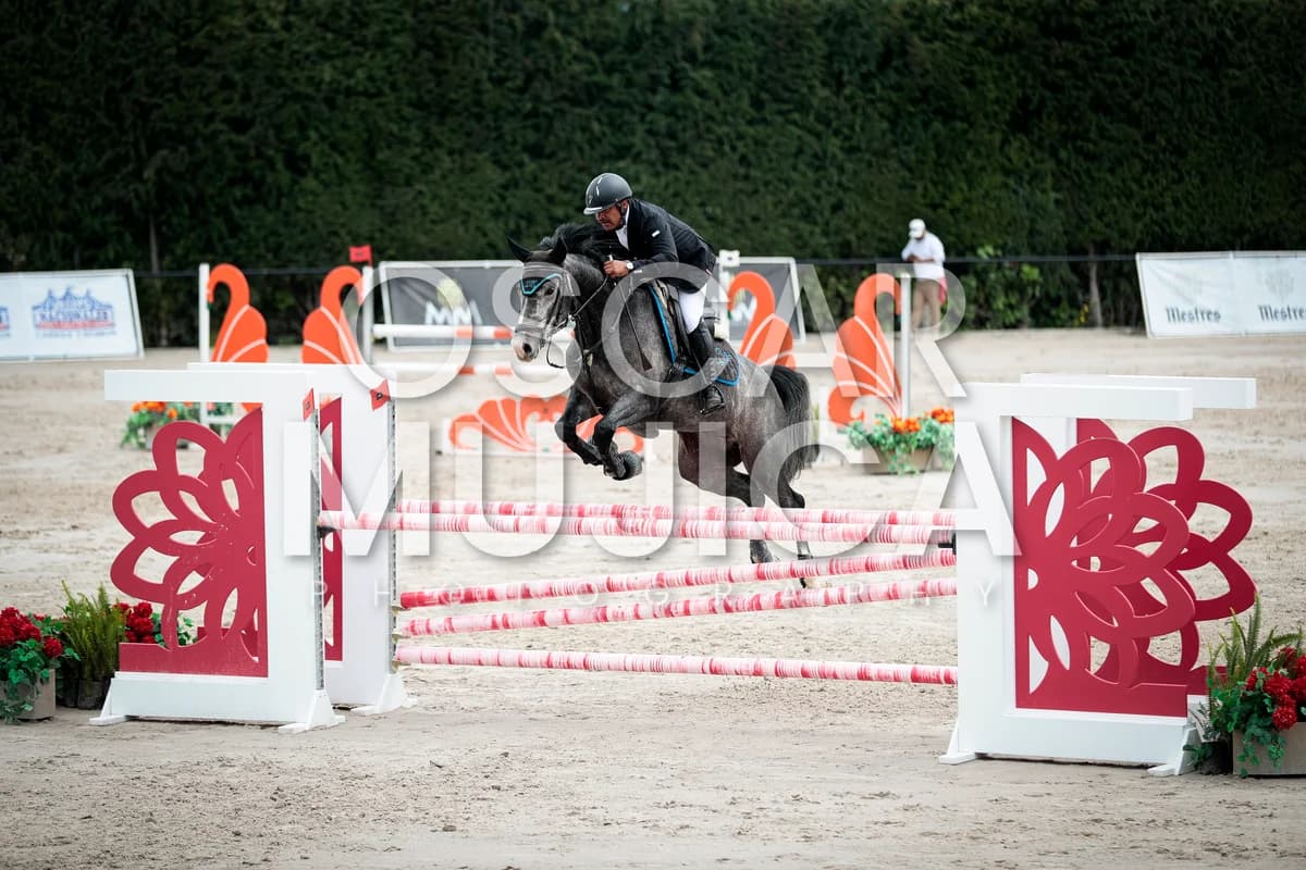 ALBERTO SILVA