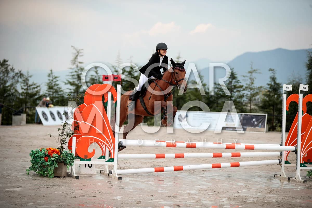 DENISSE BREMONT