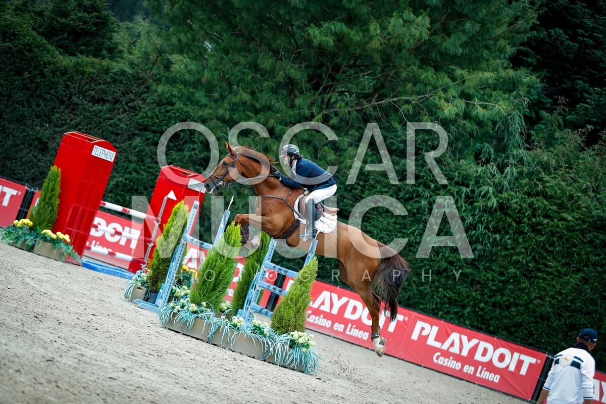 JOSE MADARIAGA