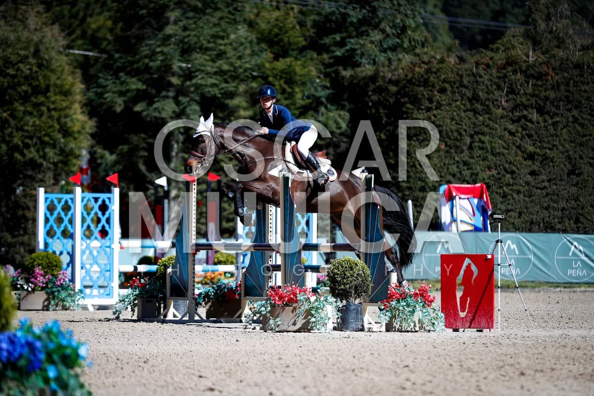 BRUNO BELTRAN