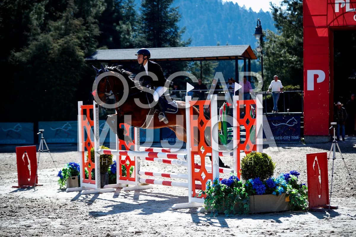 DANTE ORTIZ