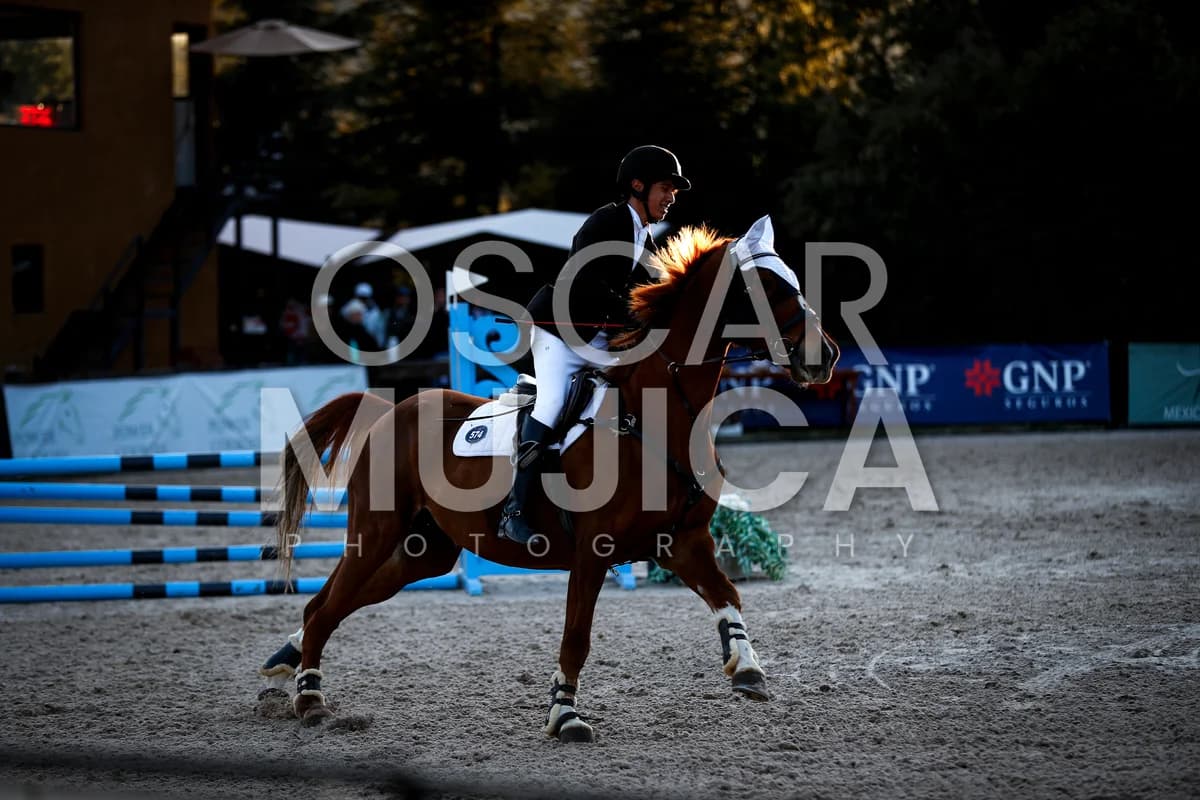 DAVID MADRIGAL