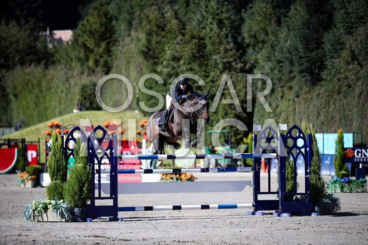 MARIA MICHEL