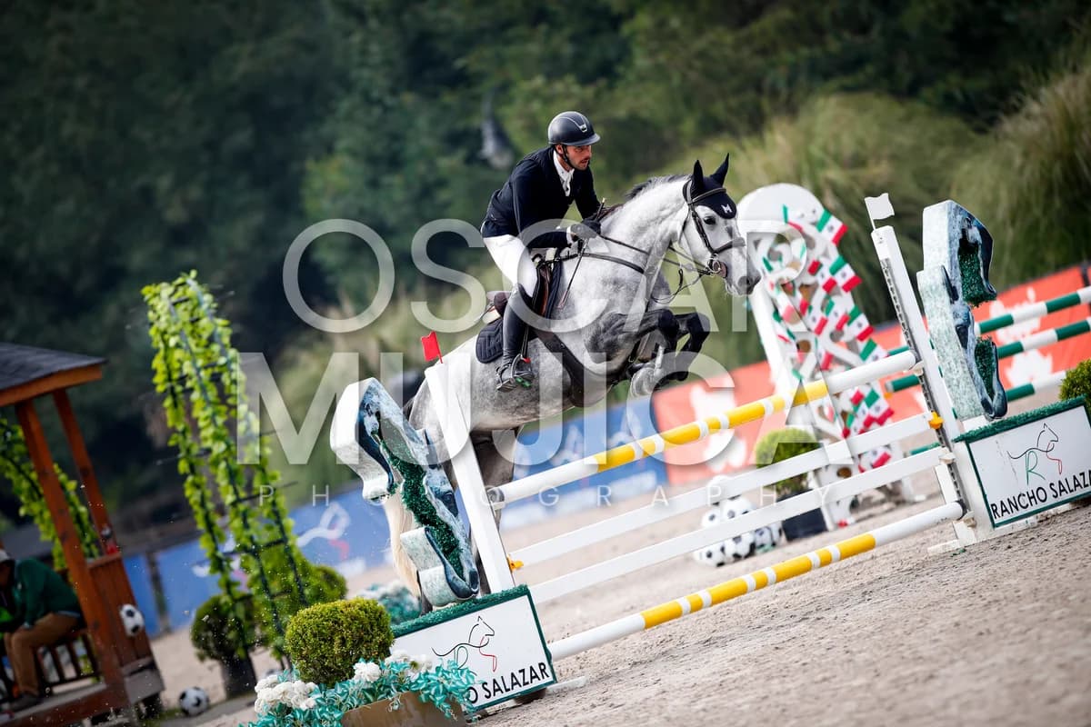 JERONIMO GIMENEZ