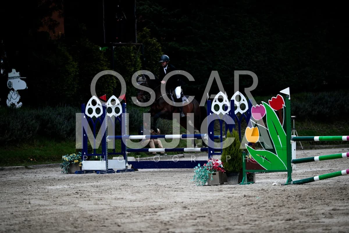 RAUL ROMERO