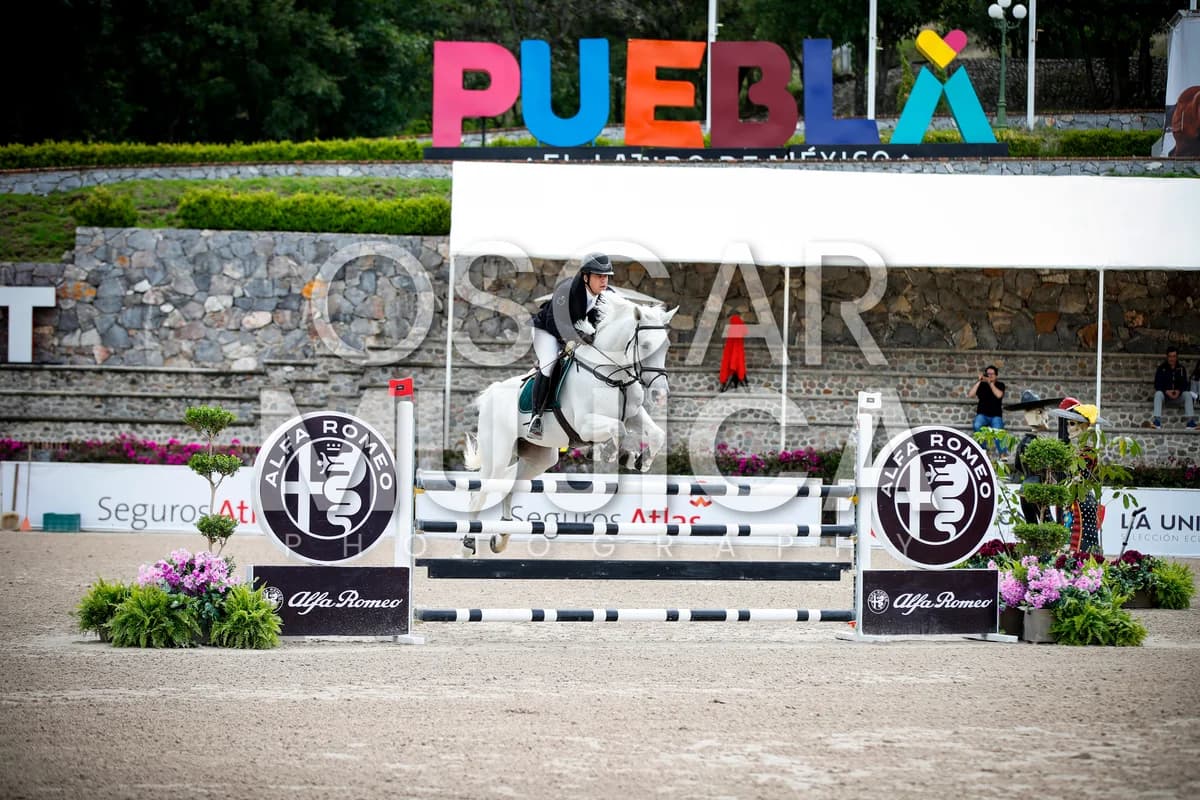 ALEJANDRO MARTINEZ