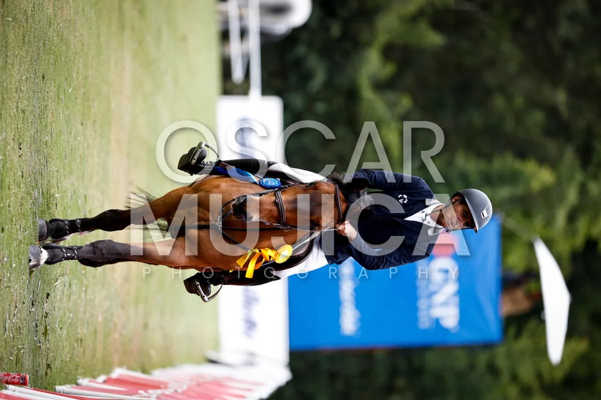 JAVIER FERNANDEZ