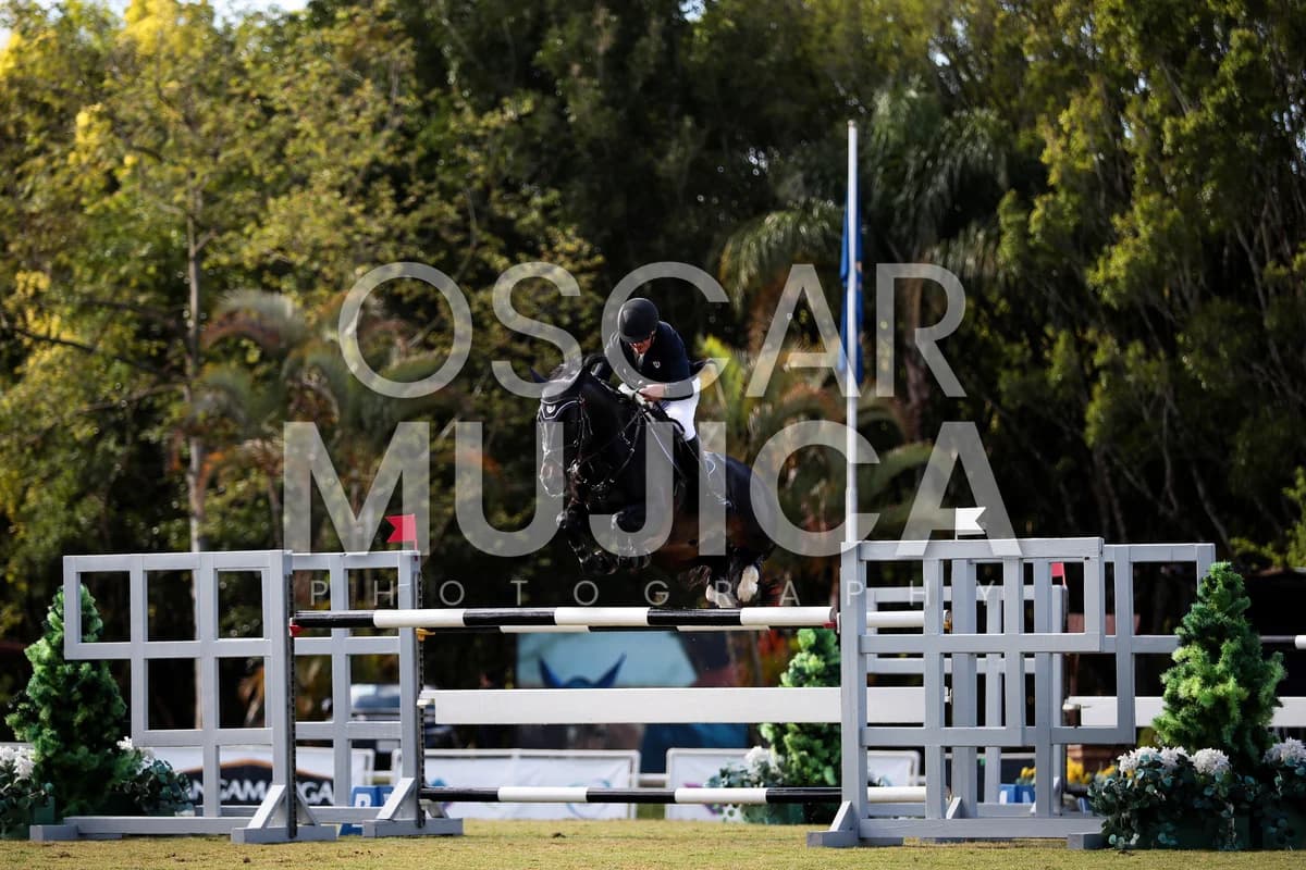 MANUEL RODRIGUEZ