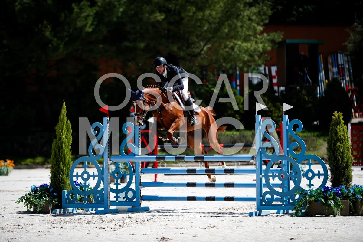 ANDRES BERGANZA