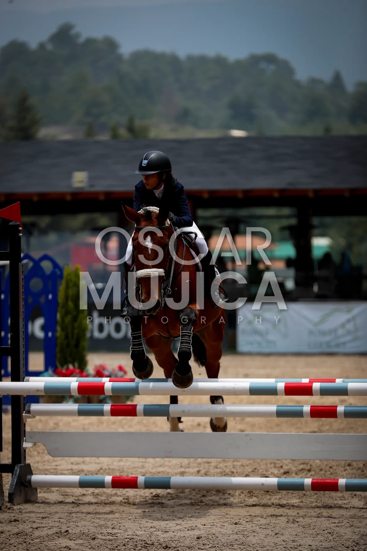 ANTONELLA ACEVES