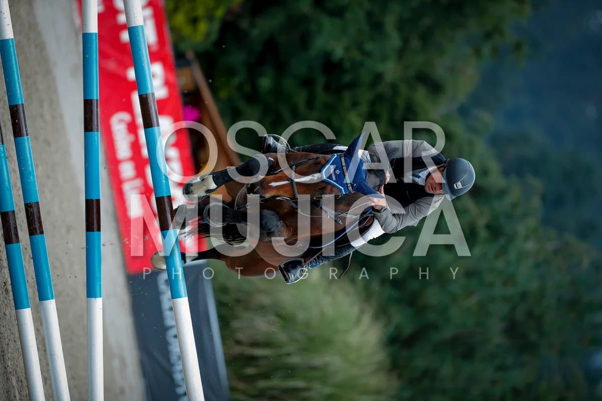 JUAN LUIS MORELL