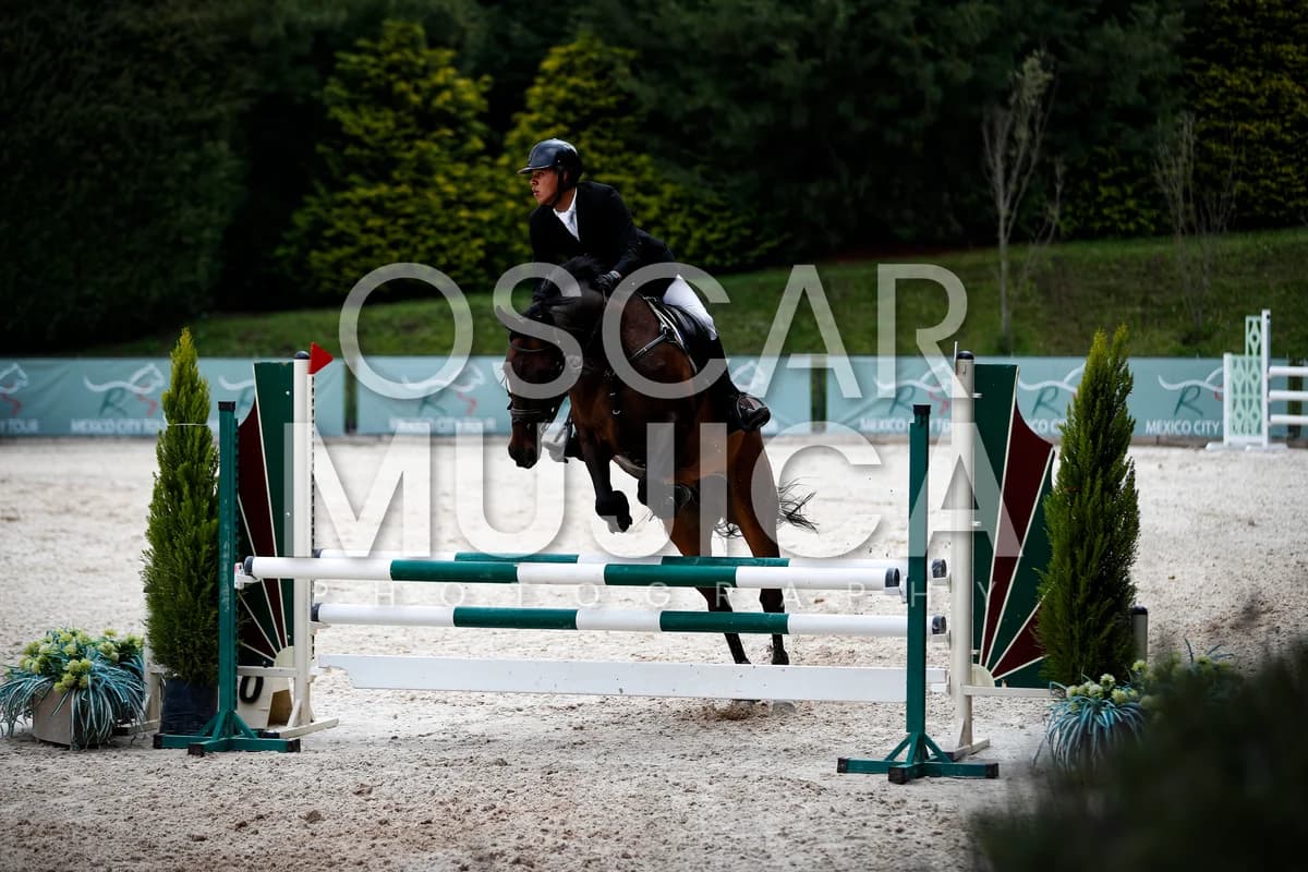 LEANDRO RENTERIA