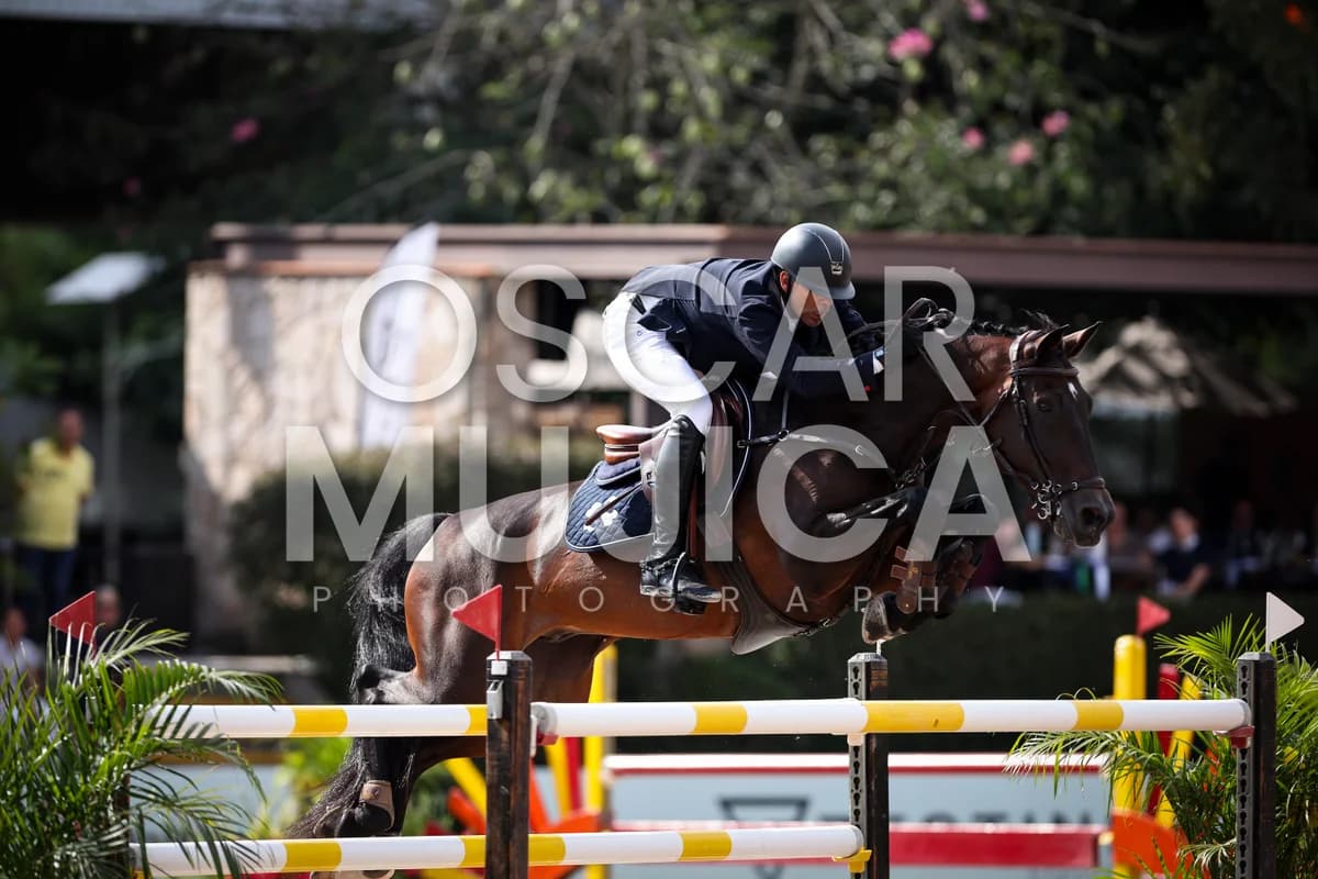 JAVIER FERNANDEZ