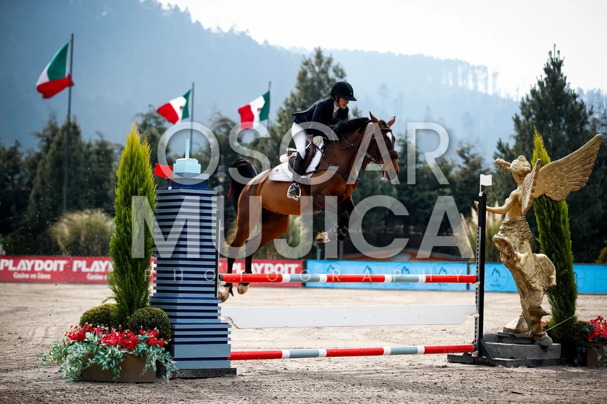 LORENZA OFARRIL