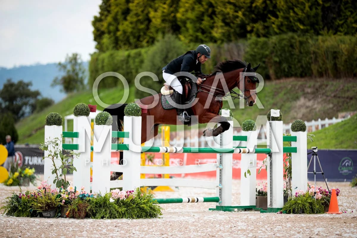 ARMANDO ACEVEDO