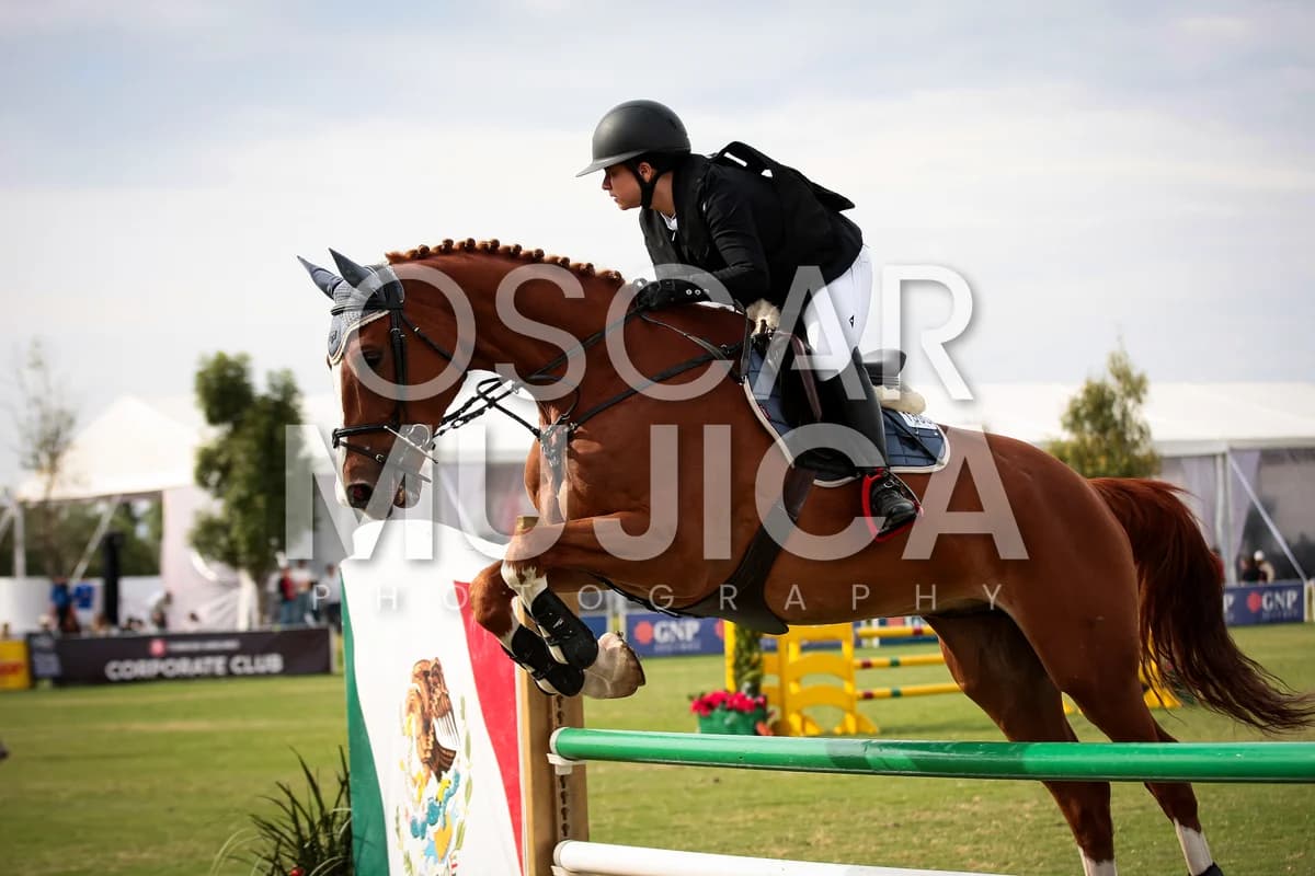 ANDREA CORTES