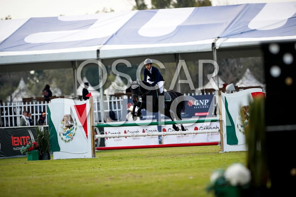 VICTOR VILLAGRAN