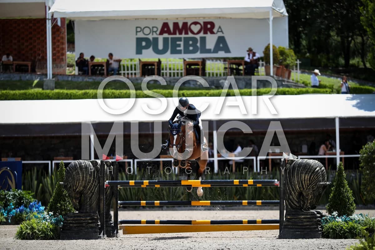 ANDRES GONZALEZ