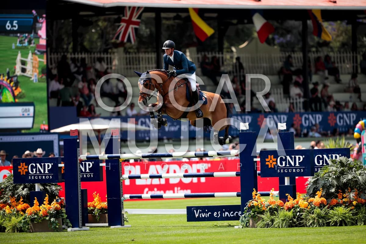 BEN MAHER