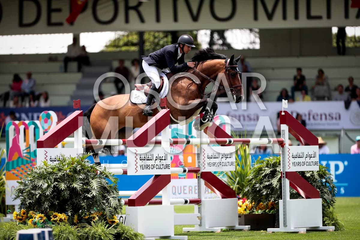 FELIPE AMARAL