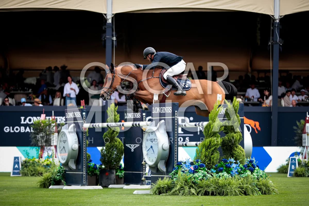 JAVIER FERNANDEZ