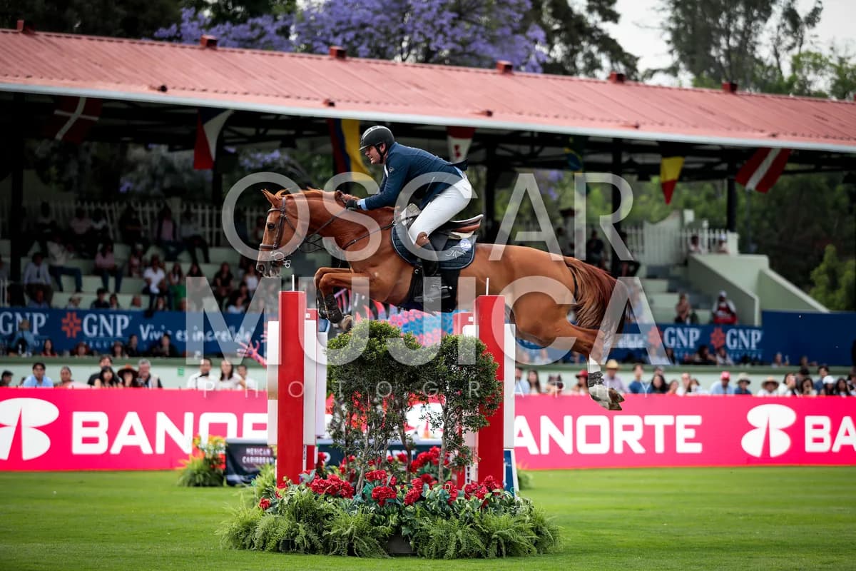 JORGE MENA