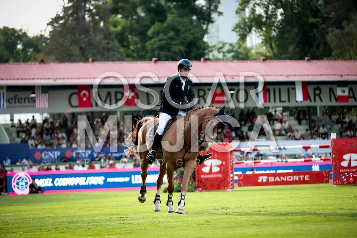 OLIVIER PHILIPPAERTS